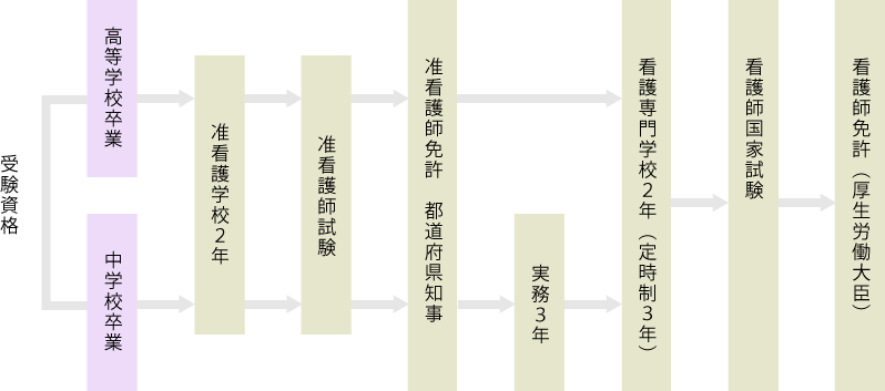 准看護師・看護師への道